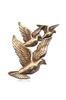 DWS Dove